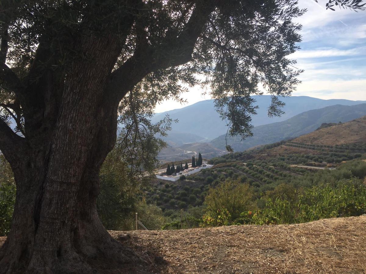 Appartement Jardin Andaluz Alhambra