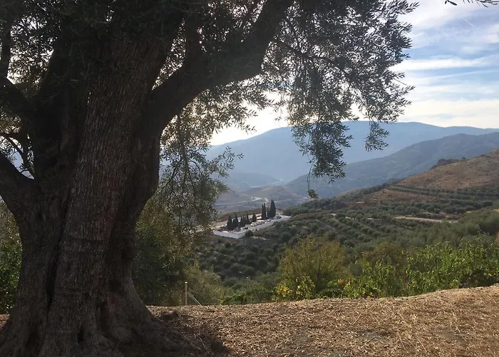 Jardin Andaluz Appart Alhambra