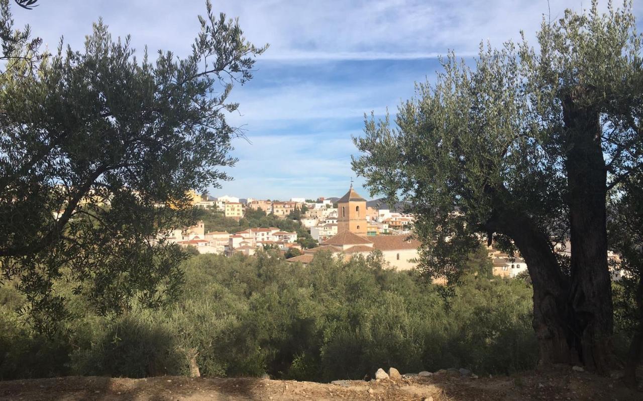 Jardin Andaluz Alhambra * Pinos del Valle