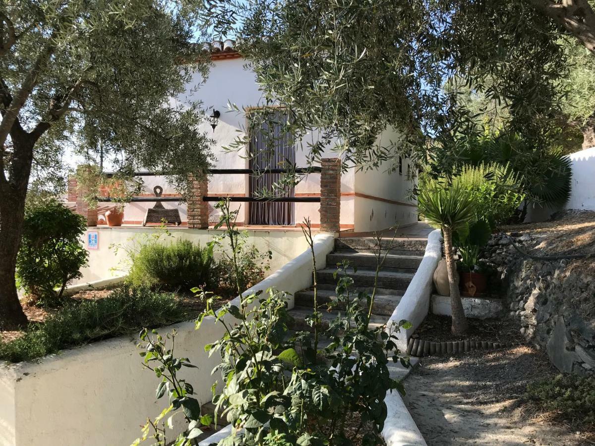 Jardin Andaluz Alhambra *